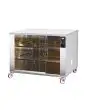 Armadio termico - Per Mod. Capri e Elba 12/P 16/P e 24/P - Ventilato - Potenza kW 2 - Vetri frontali scorrevoli - Termostato - Luce interna - Ripiano intermedio - Dimensioni cm L 100 x P 52 x 98 H