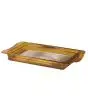 Contenitori GN 1/1 per alte temperature in plastica PEI - Peso Kg. 1,78 - Dimensioni cm L 62,9 x P 32,3 x 6,5 h