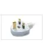SUPPLEMENTO PER SPINA UK