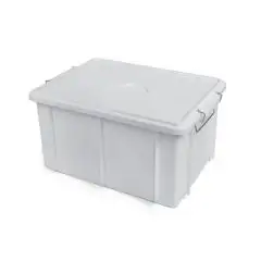 Cassetta Con Coperchio Bianco in Polipropilene - GIGANPLAST Linea BOX - Codice 1900 - Dimensioni cm 55x40 - Altezza cm 29 - Imballo confezione da n. 1 Unità