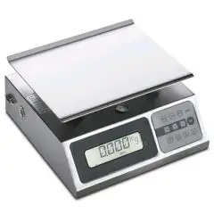 BILANCIA - MOD. BIL 40G - DIMENSIONI PIATTO cm L 24 x P 18 - PORTATA MASSIMA kg 40 - NORMA CE