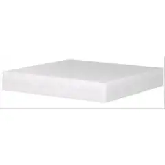 CEPPO IN POLIETILENE ALIMENTARE BIANCO PER SGABELLI IN ACCIAIO INOX - MOD. CPE - Spessore cm 8