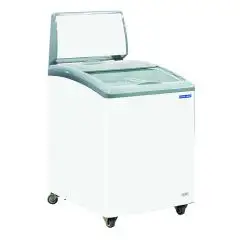 ESPOSITORE REFRIGERATO - MOD. CG 150C - STATICO - SBRINAMENTO MANUALE - CAPACITA' LT 150 - TEMPERATURA -14°/-23°C - DIMENSIONI cm L 58 x P 69,5 x h 111 - Norma CE