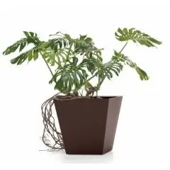 LOTO_POT_QUADRATO_CORTEN_AMBIENTATA