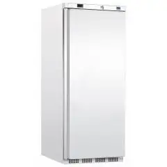 Armadio frigo Tecfrigo PL401PTS