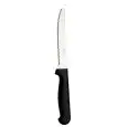 C/12 Coltello Carne  - ABERT Linea ROST - Codice AVARI064TB12 - Dimensioni mm 213 - Imballo confezione da n. 1 Unità