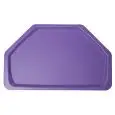 VASSOIO PER FAST FOOD - MOD. 102002 - MODELLO CLASSICO TRAPEZOIDALE - IN POLIPROPILENE - CONFEZIONE DA 20 PZ - DIM. cm L 53 X P 32,5 - NORMA CE