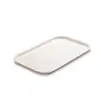 Vassoio Rettangolare  in Polistirene - GIGANPLAST - Codice 8500 - Dimensioni cm 57x38 - Altezza cm 3 - Imballo confezione da n. 1 Unità
