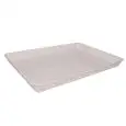 Piatto Rettangolare  in Polistirene - GIGANPLAST - Codice 4450 - Dimensioni cm 45x32 - Altezza cm 4 - Imballo confezione da n. 1 Unità
