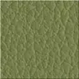 FINITURA COLORE VERDE