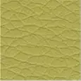 FINITURA COLORE VERDE