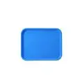 Vassoio Rettangolare Snack Blu in Plastica - MEDRI Linea TABLA - Codice ZBL-801 - Dimensioni cm 35x27 - Imballo confezione da n. 1 Unità