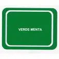 COLORE VASSOIO VERDE MENTA
