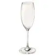 C/12 Calici Flute  in Policarbonato - GUZZINI Linea HAPPY HOUR - Codice 2333/05 - Capacità 10 cl  - Imballo confezione da n. 1 Unità
