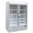 ARMADIO FRIGORIFERO IN LAMIERA VERNICIATA - PER SNACK - VENTILATO - Mod. G-SNACK930BTG - CAPACITA' Lt 1078 - N. 2 PORTE VETRO - TEMPERATURA -18º/-22ºC - Dim. cm L 137 x P 63 x h 213 - Norma CE