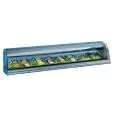 ESPOSITORE DA BANCO VETRINA REFRIGERATA - SERIE SUSHIGNSPLIT - STRUTTURA IN ACCIAIO INOX - BACINELLE GN1/3 - Temp. °C +1/+5 - MONOFASE - STATICA - VETRO CURVO APRIBILE - ILLUMINAZIONE - MOTORE REMOTO INCLUSO