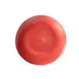 Piatto Piano Corallo - MEDRI Linea MATIZ - Diametro 30,5 cm - Imballo confezione da n. 6 Unità