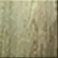 FINITURA ROVERE CHIARO