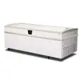 ESPOSITORE REFRIGERATO - MOD. EVO 250 GT - TERMOMETRO ELETTRONICO - SBRINAMENTO MANUALE - CAPACITA' LT 1037 - TEMPERATURA -18°/-23°C  - DIMENSIONI cm L 252 x P 94,4 x h 84,8 - Norma CE