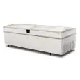 ESPOSITORE REFRIGERATO - MOD. EVO 250 GT HGD - TERMOMETRO ELETTRONICO - SBRINAMENTO AUTOMATICO - CAPACITA' LT 1182 - TEMPERATURA -18°/-23°C  - DIMENSIONI cm L 252 x P 94,4 x h 84,8 - Norma CE
