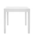 TAVOLO - MOD. S15 - STRUTTURA IN POLIPROPILENE - PER USO ESTERNO - DIM. cm L 78,5 x P 78,5 x h 75,5 - NORMA CE