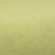 COLORE VERDE TESSUTO
