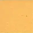 COLORE SEDUTA ECOPELLE AUREA 8