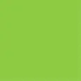 FINITURA COLORE VERDE