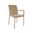 SEDIA IRIS CON BRACCIOLI - MOD. IRIS B - STRUTTURA 4 GAMBE IN CO-INIEZIONE METALLO-POLIMERO - SCOCCA IN TECNOPOLIMERO CON BRACCIOLI - PER USO INTERNO/ESTERNO - DIM. cm L 55 x P 54 x H 88 - NORMA CE