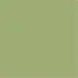 FINITURA COLORE VERDE SALVIA