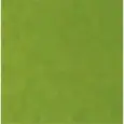 FINITURA COLORE VERDE