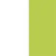 COLORE SEDUTA BIANCO + VERDE PISTACCHIO