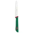 Coltello Pomodoro - SANELLI Linea PREMANA - Codice 329612V - Dimensioni cm 12 - Imballo confezione da n. 1 Unità