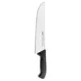 Coltello Francese - SANELLI Linea SKIN - Codice 100227 - Dimensioni cm 27 - Imballo confezione da n. 1 Unità