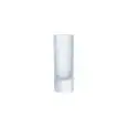 Bicchiere Satinato - ARCOROC Linea ISLANDE - Codice 75228 - Capacità 6 cl 2 z - Diametro 38 mm - Altezza mm 105 - Imballo confezione da n. 12 Unità