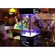 RAFFREDDA BICCHIERE - MOD. CO2 BARMAN - STRUTTURA IN METACRILATO - EFFETTO FUMO/LUCE - LUCI A LED - ALIMENTAZIONE MONOFASE 230V - DIMENSIONI cm L 26 x P 20 x 53 H