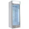ARMADIO FRIGORIFERO IN LAMIERA VERNICIATA - PER BIBITE - STATICO CON AGITATORE - Mod. GXI270E - CAPACITA' Lt 270 - N. 1 PORTA A VETRO - TEMPERATURA 0/+10°C - DIM. cm L 54 x P 57 x H 156 - NORMA CE