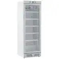 ARMADIO FRIGORIFERO IN LAMIERA VERNICIATA - PER BIBITE - STATICO CON AGITATORE - Mod. GXI390XI - CAPACITA' Lt 390 - N. 1 PORTA A VETRO - TEMPERATURA 0/+10°C - DIM. cm L 59,5 x P 65,5 x H 183 - NORMA CE
