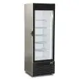 ESPOSITORE VERTICALE REFRIGERATO - MOD. FROST 350 NS - CAPACITA' Lt. 323 - TEMPERATURA -18°/-23° C - Dimensioni cm. L 61 x P 63,9 x h 184,4 - Norma CE
