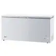 CONGELATORE A POZZETTO - Mod. G-BD550S - Refrigerazione statica - Sbrinamento manuale - Temperatura d'esercizio -18º C - Capacità Lt. 439 - Dimensioni esterne cm L 153 x P 68 x 84 h - Norma CE