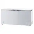 CONGELATORE A POZZETTO - Mod. G-BD650S - Refrigerazione statica - Sbrinamento manuale - Temperatura -18ºC - Capacità Lt. 537 - Dimensioni esterne cm L 181 x P 68 x 86 h - Norma CE