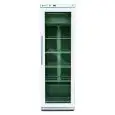 ARMADIO FRIGORIFERO IN LAMIERA VERNICIATA E PS - VENTILATO - ECOVENT - Mod. G-EFV600G - N. 1 PORTA VETRO - CAPACITA' LT 538 - TEMPERATURA -16º/-18ºC - Dim. cm L 77,5 x P 75 x h 186 - Norma CE