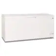 Congelatore a pozzo porta cieca modello GELO 650 PS, temperatura -18°C / -24°C, capacità lorda 567 Lt, dimensioni esterne 1805 x 750 x 880 mm.