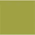 COLORE LIME GREEN