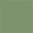 COLORE MALVA GREEN