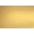COLORE LACCATO METALLIC GOLD OPACO