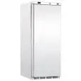 Armadio frigo congelatore Tecfrigo PL601NT