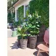 VASO - MOD. S-POT - PER INTERNO ED ESTERNO - STRUTTURA IN POLIETILENE - NORMA CE