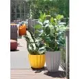 VASO - MOD. STAR - PER INTERNO ED ESTERNO - STRUTTURA IN POLIETILENE - NORMA CE